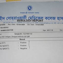Dengue Report Editor