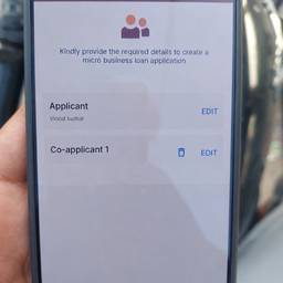 Loan Form Screenshot Edit