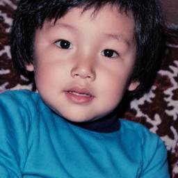 Old Photo Restoration