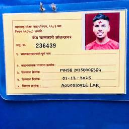 Driver ID Card Cleanup
