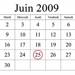 June 2009 Calendar