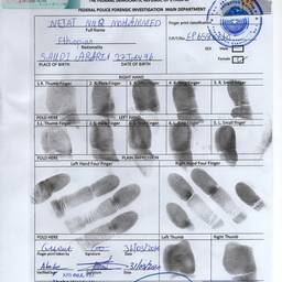 Fingerprint Card Upscale