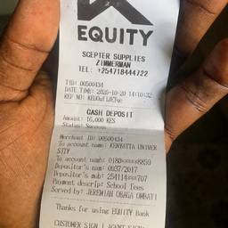 Bank Receipt Amount Edit