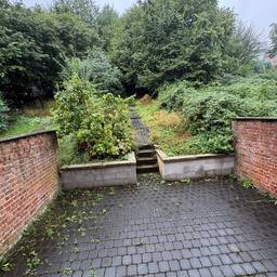 Vorher - Zwergziegen im Hof