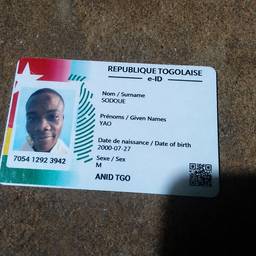 ID Card Photo Swap