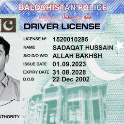 Driver License Color Match
