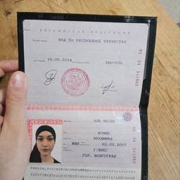 Russian Passport Detail Edit