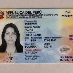 Peruvian DNI Card Redesign