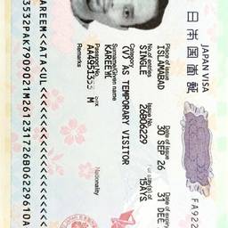 Japan Visa Edit