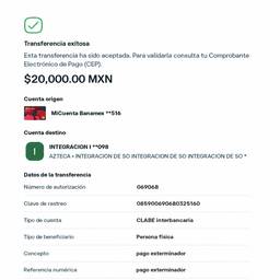Antes - Editar Comprovante de Transferência Bancária