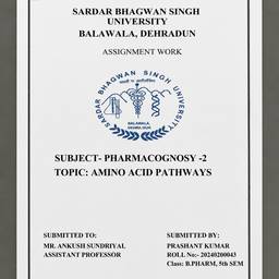 Straighten Document Photo