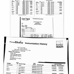 Immunization Record Date Update