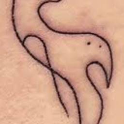 Antes - Contorno de Tatuagem Floral