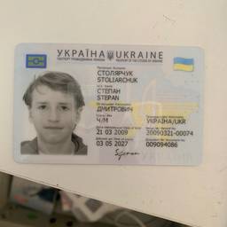 Before - Passport Birth Year Edit