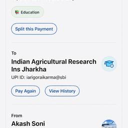 Edit UPI Payment Date