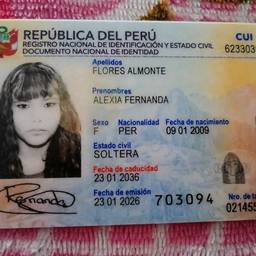 Peruvian DNI Birth Year Edit