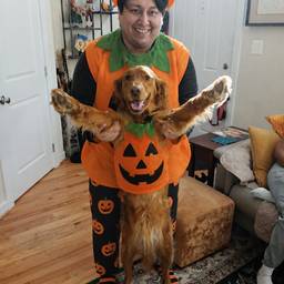 After - Pumpkin Costume Duo