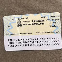 Residence Permit Date Edit