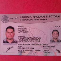 Mexican Voter ID CURP Edit