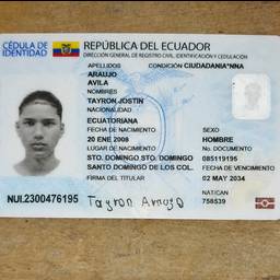Ecuador ID Year Edit