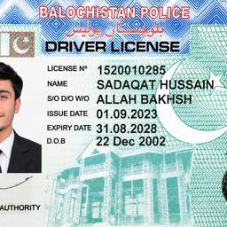 Driver License Photo Swap