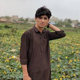Add Gun to Photo
