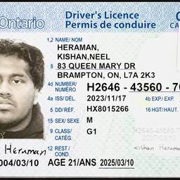 Driver's License Age Edit