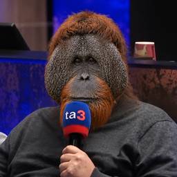 Orangutan Face Swap