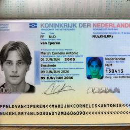 Nachher - Passfoto Jahr Bearbeiten KI