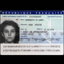 French ID Birth Year Edit