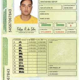 Brazilian CNH Driver's License
