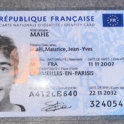 French ID Card Digit Edit