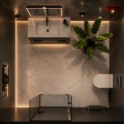 Luxury Bathroom Render