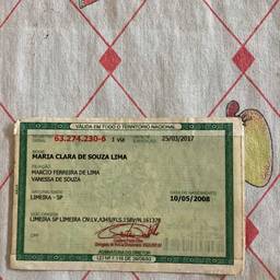 Voter ID DOB Edit