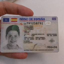 Spanish DNI Year Edit