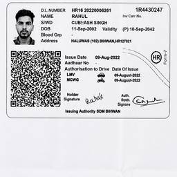 Driving Licence Scan Cleanup
