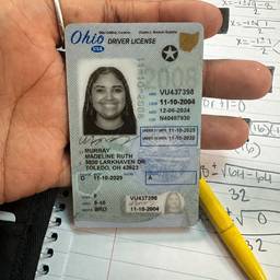 Driver License Date Edit