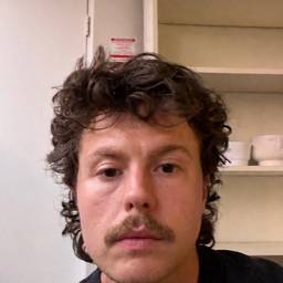 Après - Ajouter une Moustache à une Photo