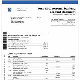 Bank Statement Amount Edit