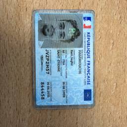 French ID Card Date Edit