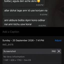 Chat Screenshot Date Edit
