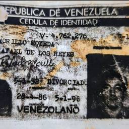 Antes - Restaurar Foto de Documento de Identidad