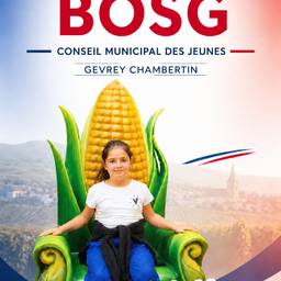 French Campaign Poster Design