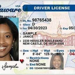 Before - Fictional Driver's License Mockup