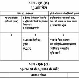 Enlarge Government Form Text