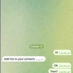 Before - WhatsApp Chat Name Edit