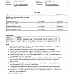 Medical Document PDF Editor