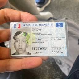 French ID Card Date Edit
