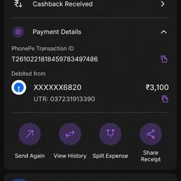 PhonePe Payment Amount Edit