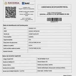 Mexican Tax Document Edit